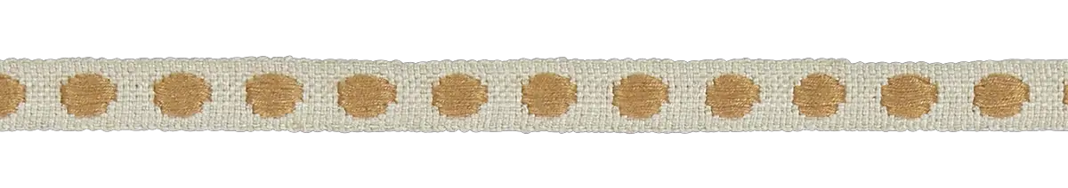 Photo of Narrow Spot Braid