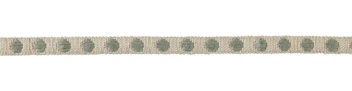 Photo of Narrow Spot Braid