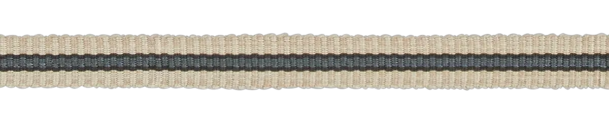 Photo of Narrow Striped Braid