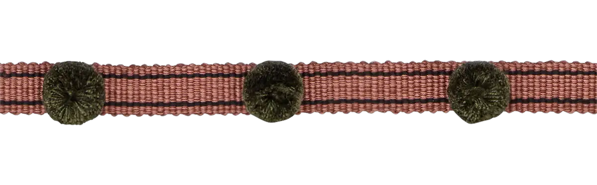 Photo of Pompom Spot Braid
